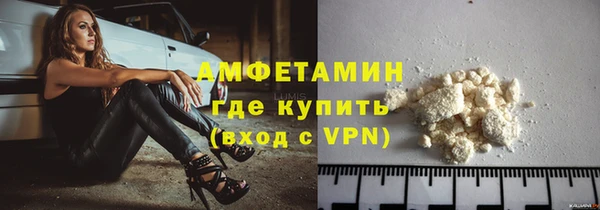 крисы Абаза