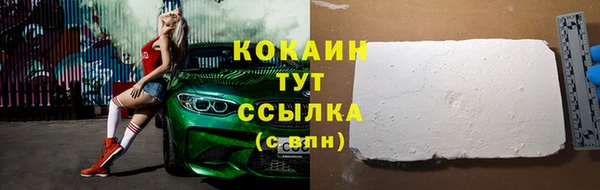 крисы Абаза
