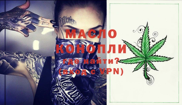 крисы Абаза