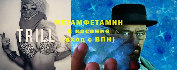 крисы Абаза