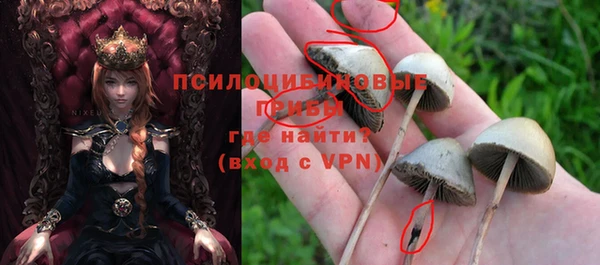 метадон Абдулино