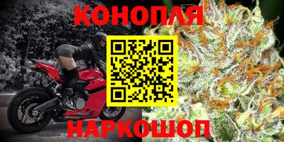 прущие крисы Пенза