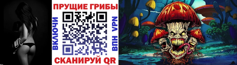 купить   Партизанск  Псилоцибиновые грибы MAGIC MUSHROOMS 