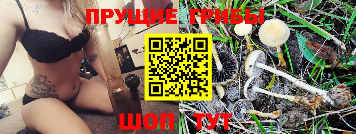 Партизанск  Псилоцибиновые грибы мицелий  Вход с VPN 