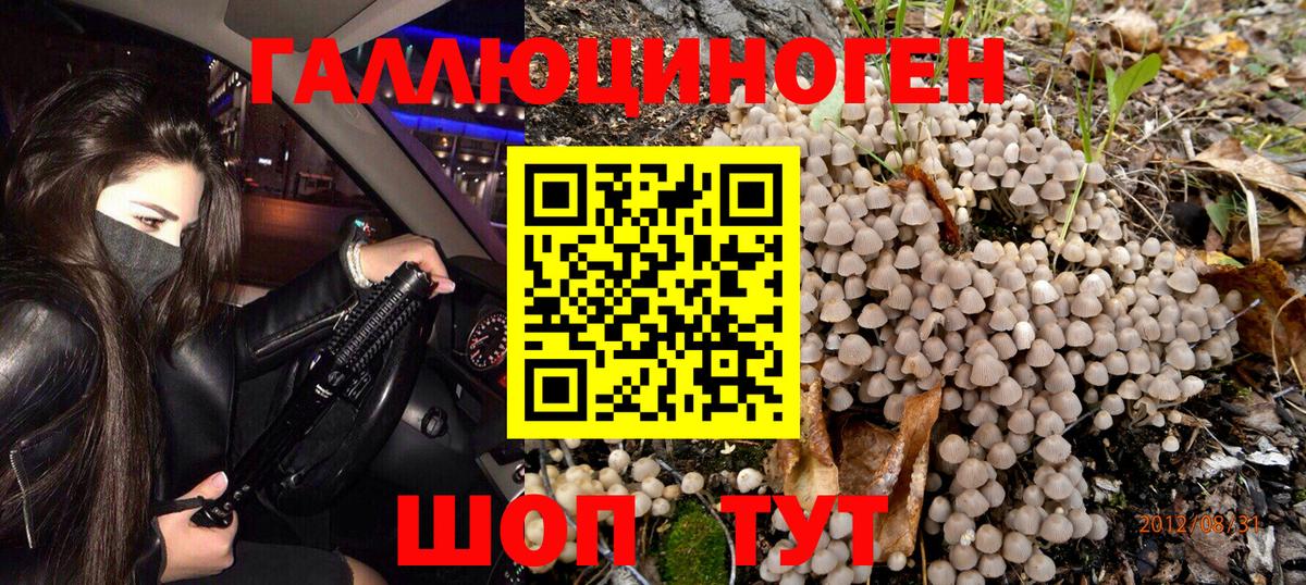 Псилоцибиновые грибы MAGIC MUSHROOMS  Вход с VPN  Партизанск 